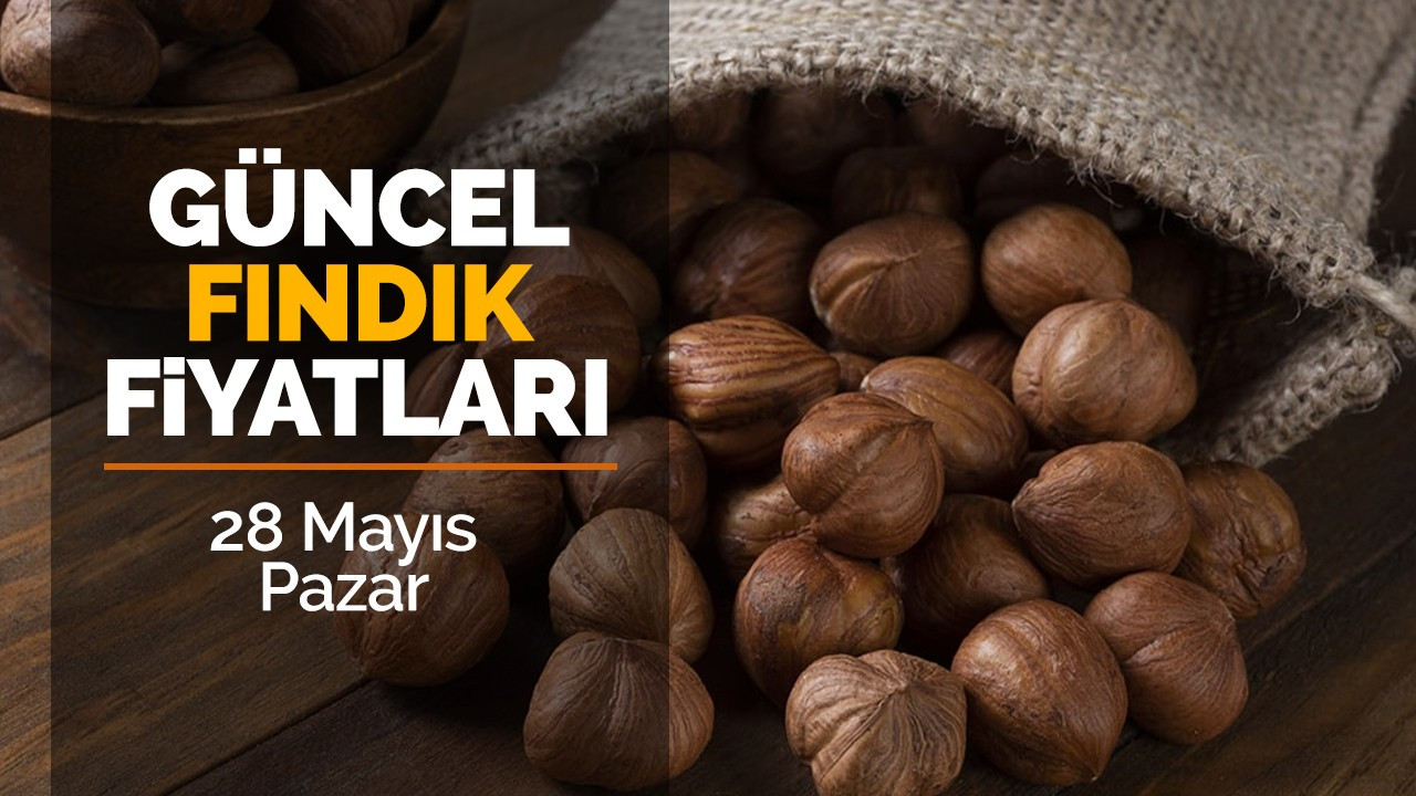 28 Mayıs Pazar 2023 güncel fındık fiyatları!