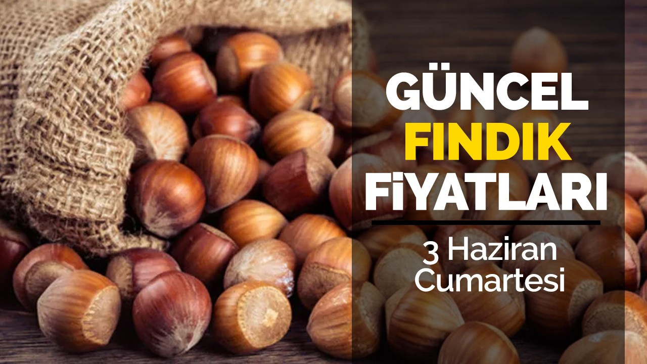 3 Haziran Cumartesi Güncel Fındık Fiyatları!