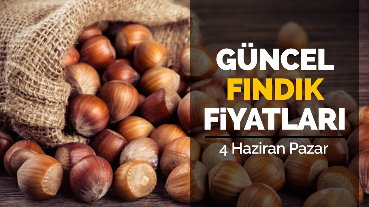 4 Haziran Pazar Güncel Fındık Fiyatları!