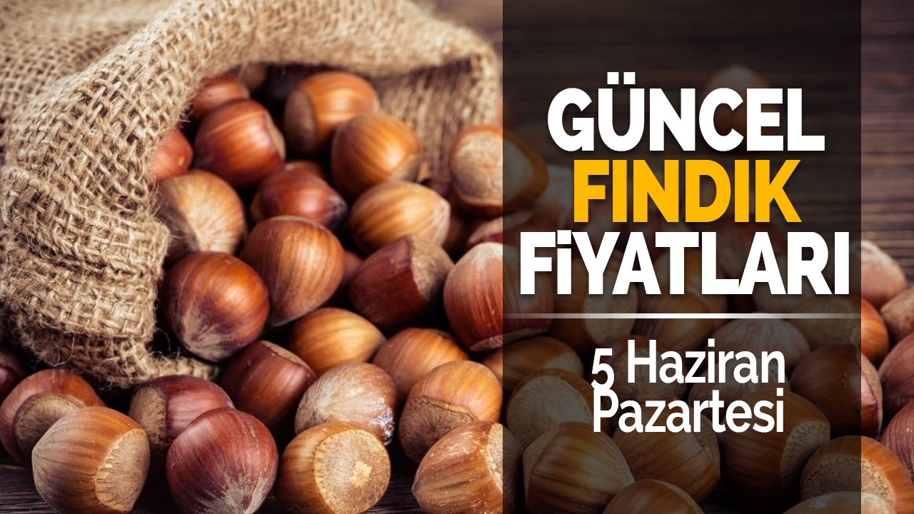 5 Haziran Pazartesi Güncel Fındık Fiyatları!