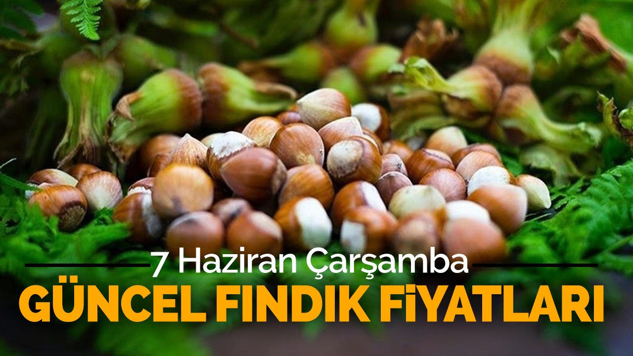 7 Haziran Çarşamba Güncel Fındık Fiyatları!