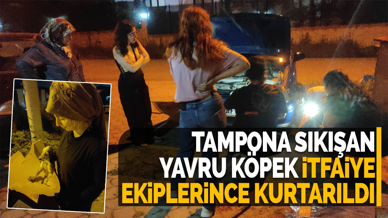 Tampona sıkışan yavru köpek itfaiye ekiplerince kurtarıldı