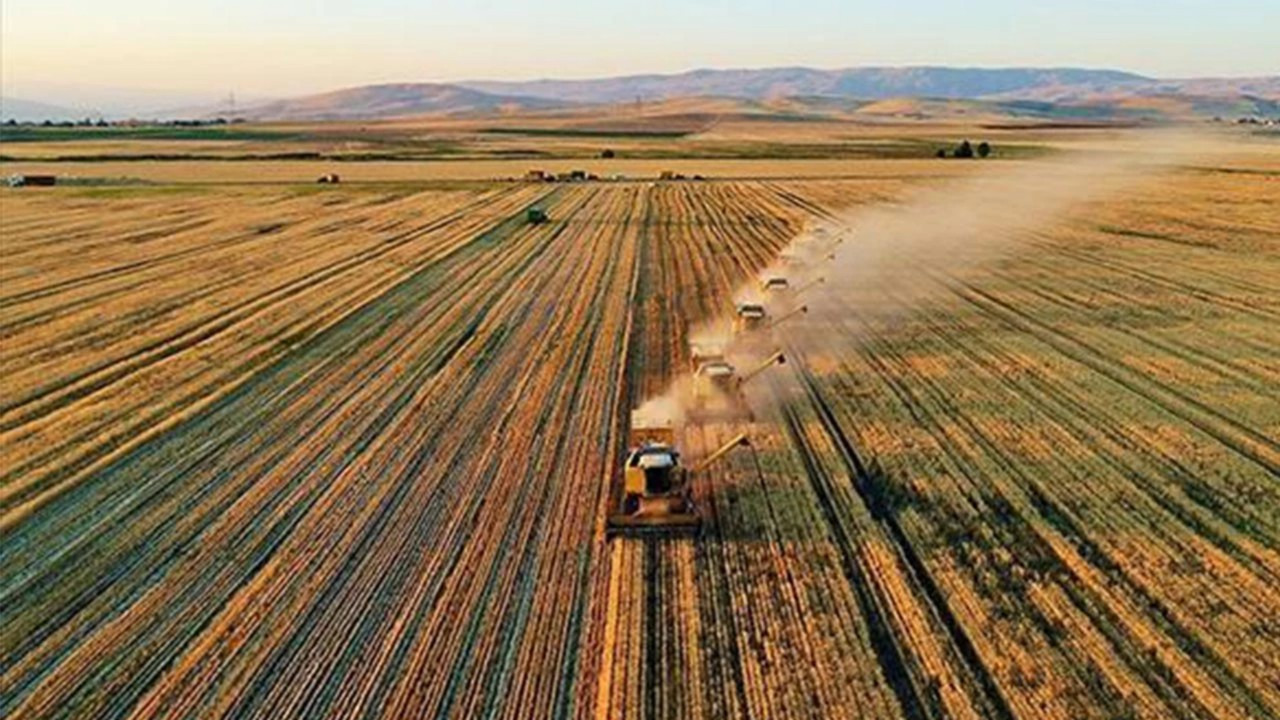 Çiftçilere 124 milyon liralık destekleme ödemesi yapılacak