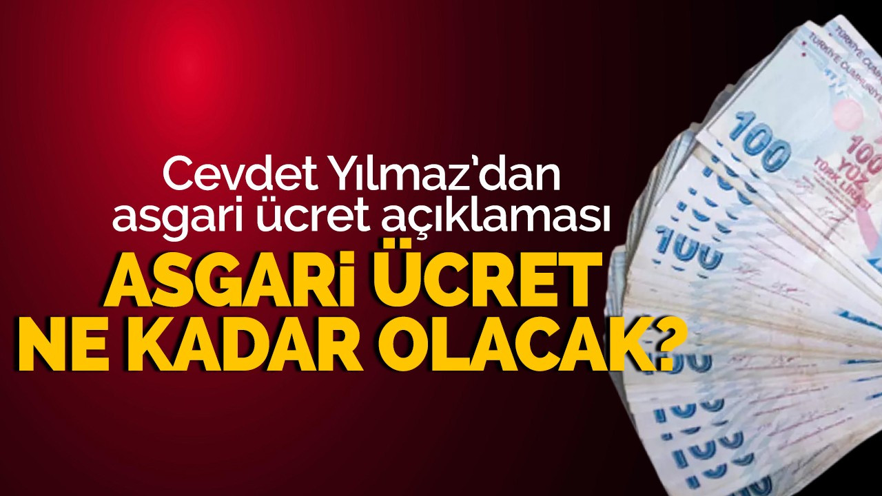 Cumhurbaşkanı Yardımcısı Yılmaz'dan asgari ücret açıklaması