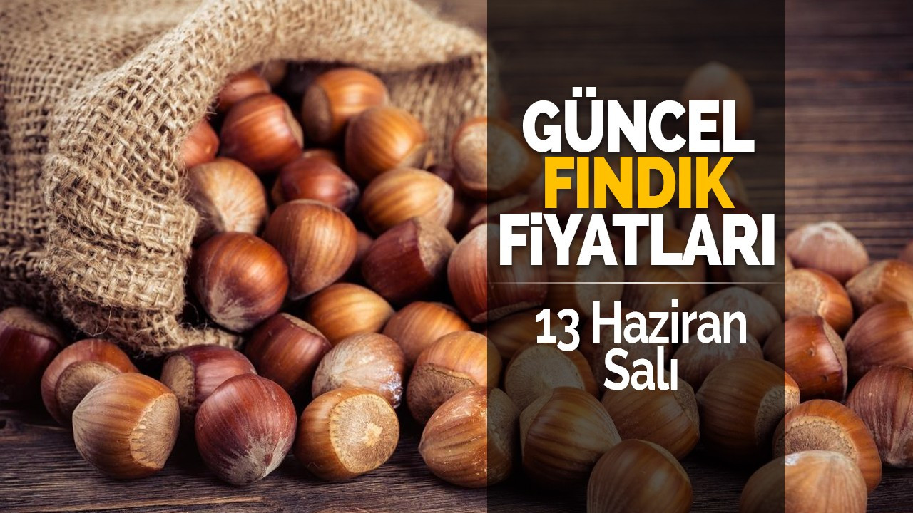 13 Haziran Salı Güncel Fındık Fiyatları!