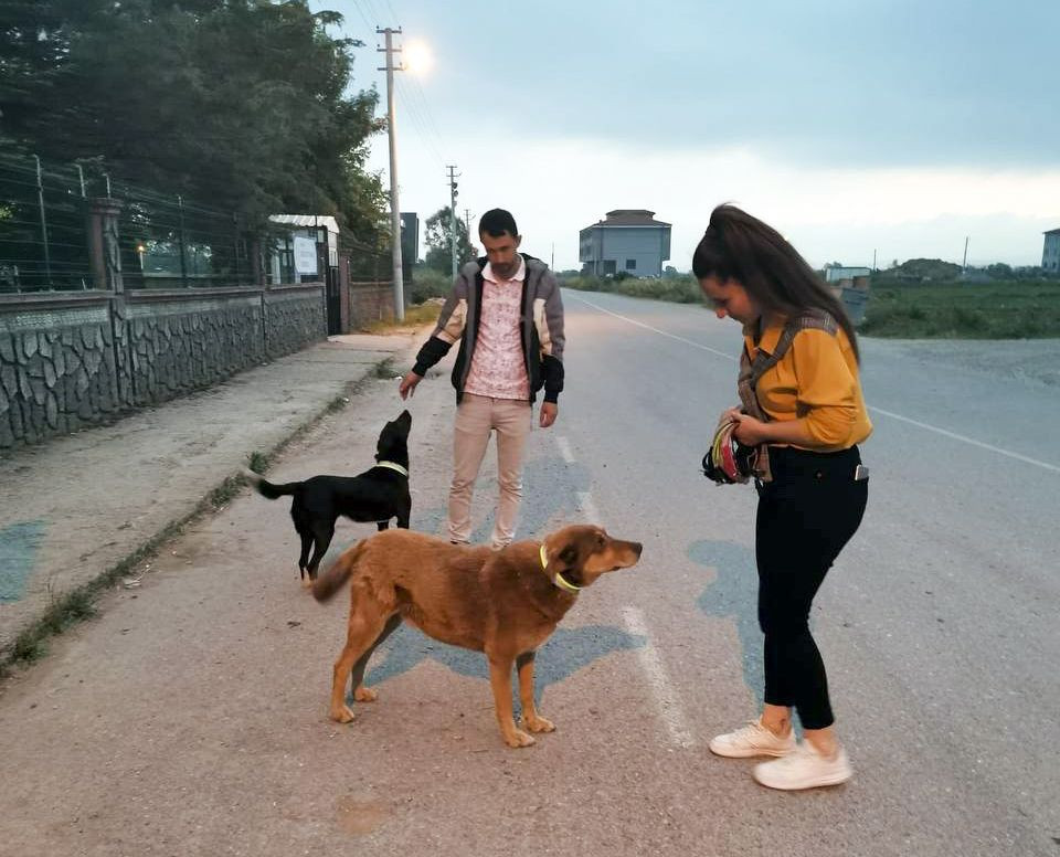 SUBÜ’lü öğrencilerden can dostlarına Reflektörlü Tasma - Sayfa 3