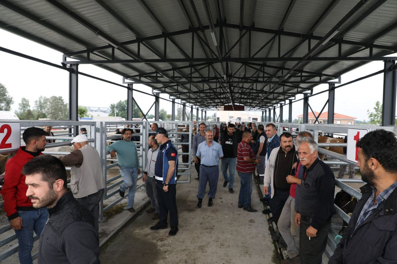 Bayram öncesi Hayvan Borsası’na Yoğun İlgi - Sayfa 8