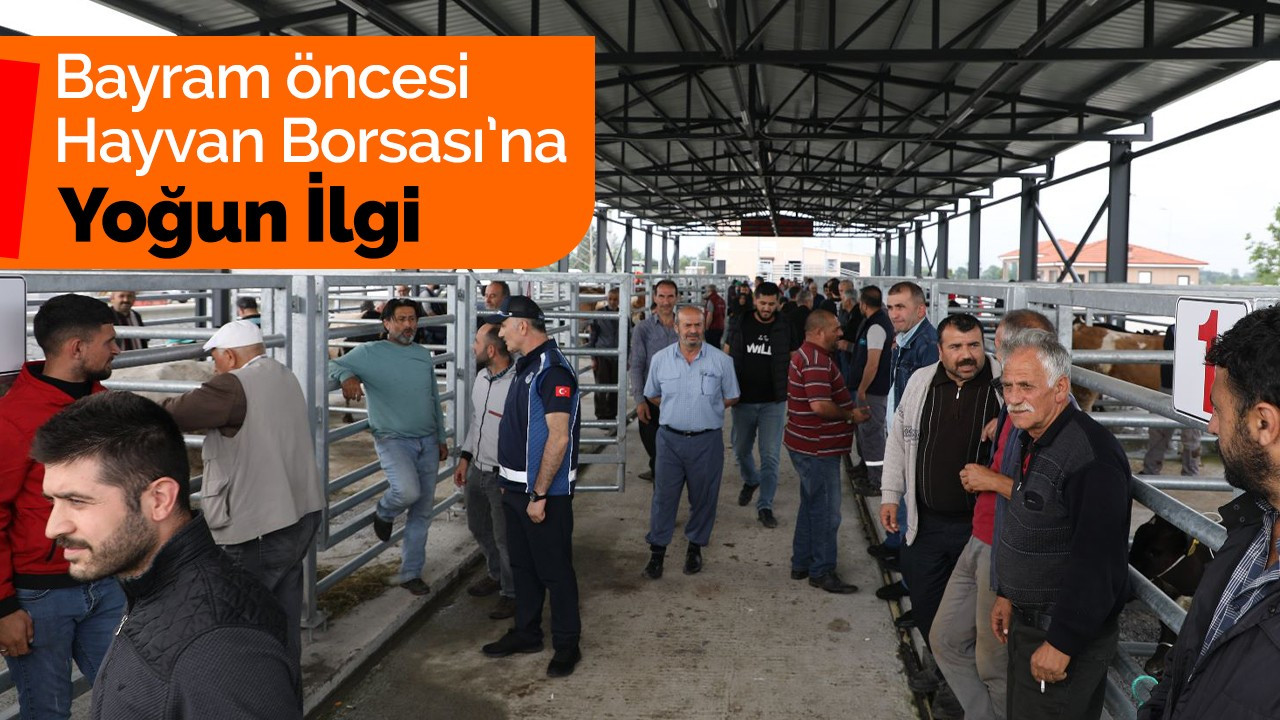 Bayram öncesi Hayvan Borsası’na Yoğun İlgi