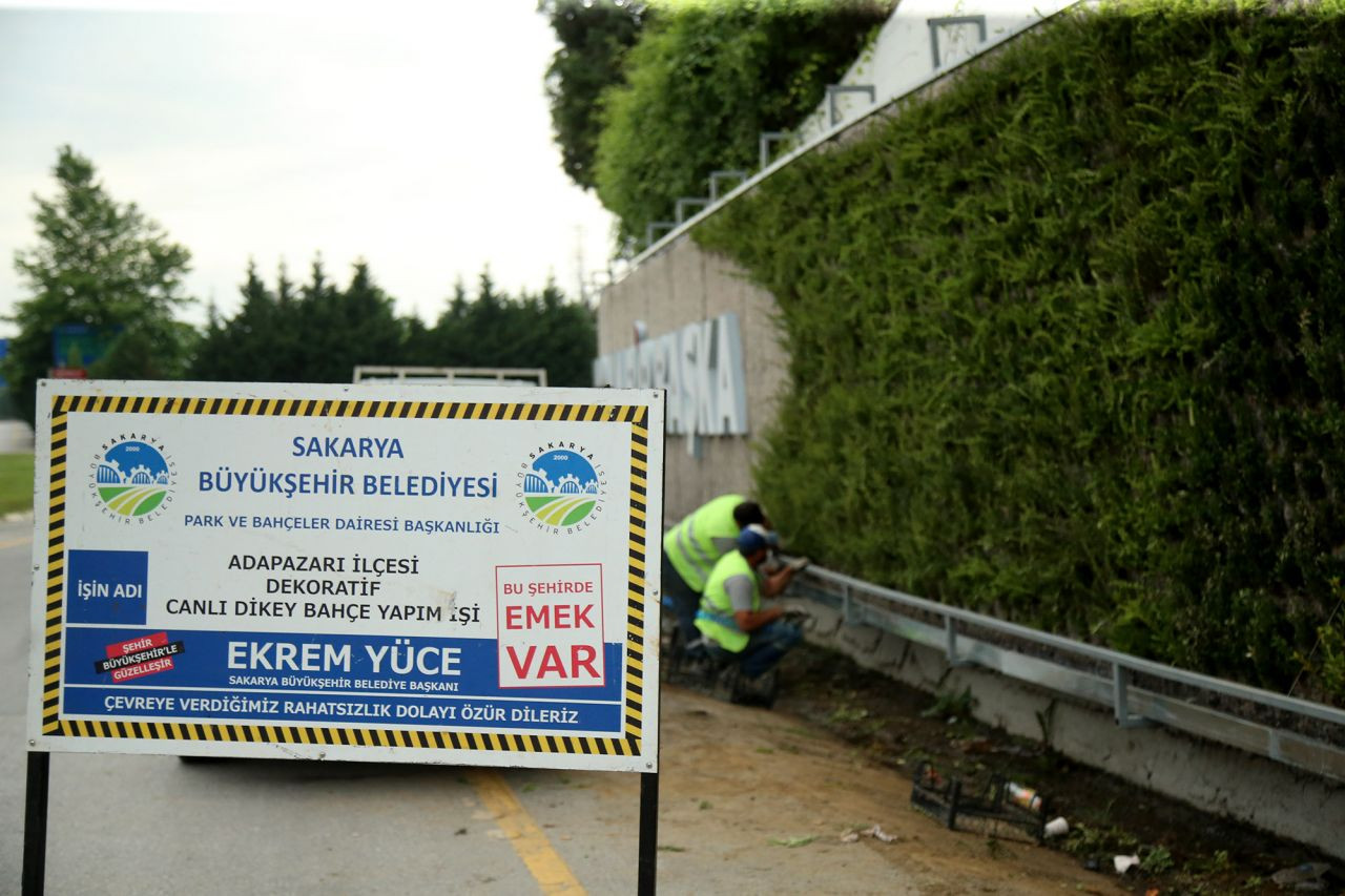 Sakarya'ya gelenler huzur veren bir görüntüyle karşılanacak - Sayfa 3