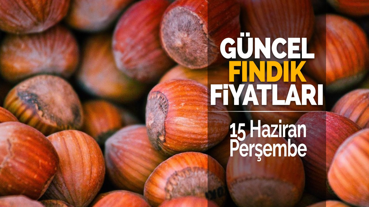 15 Haziran Perşembe Güncel Fındık Fiyatları!