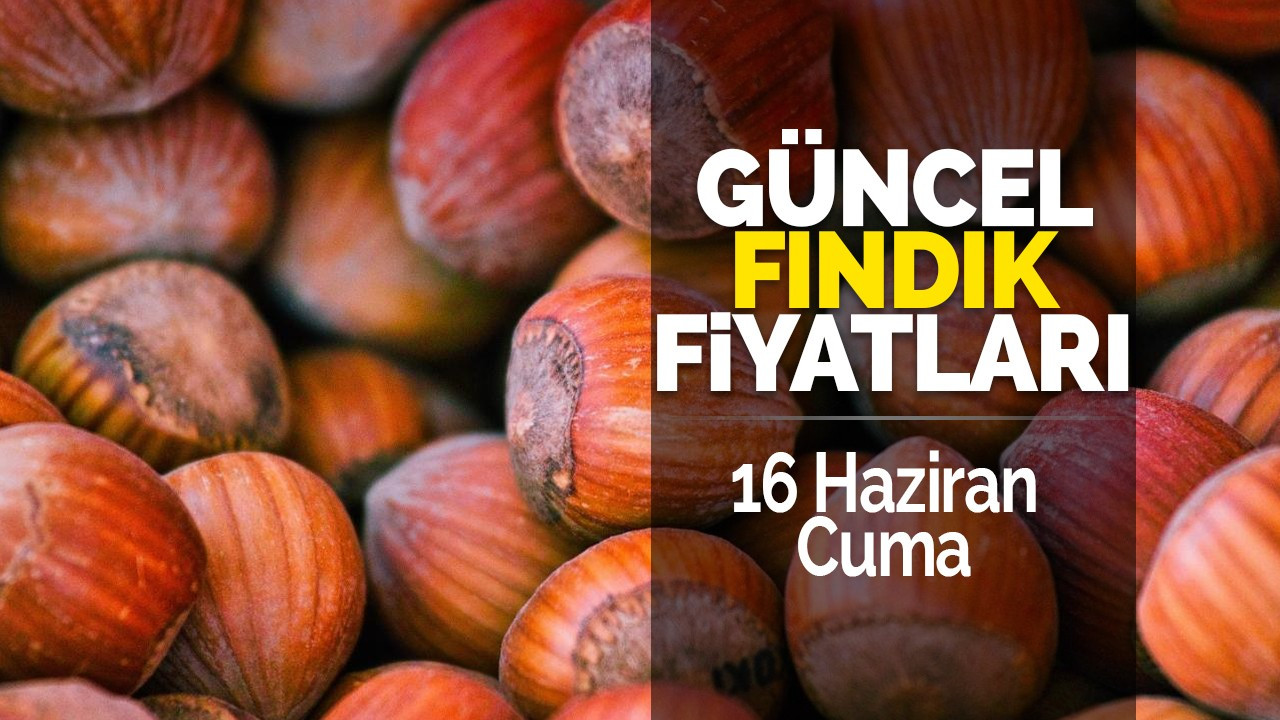 16 Haziran Cuma Güncel Fındık Fiyatları!