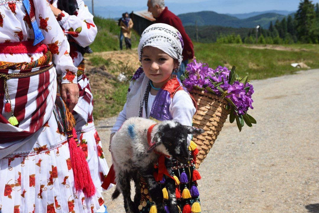 Dikmen Yaylası’nda şenlik havasında yayla yolculuğu - Sayfa 1