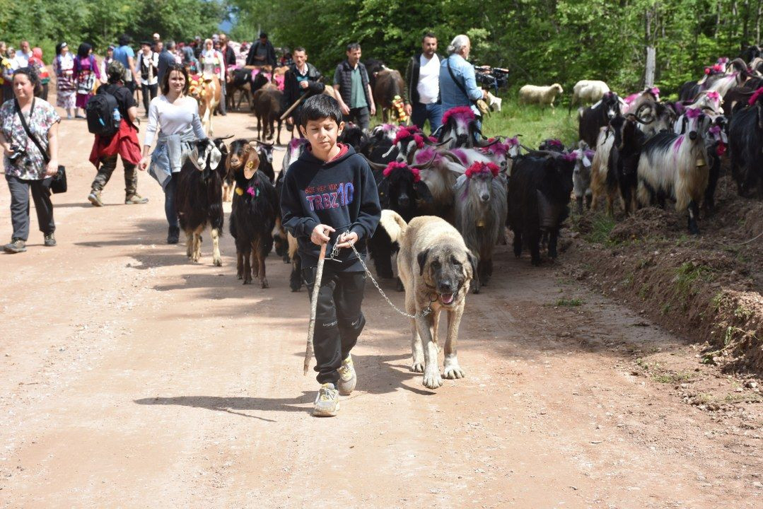 Dikmen Yaylası’nda şenlik havasında yayla yolculuğu - Sayfa 8