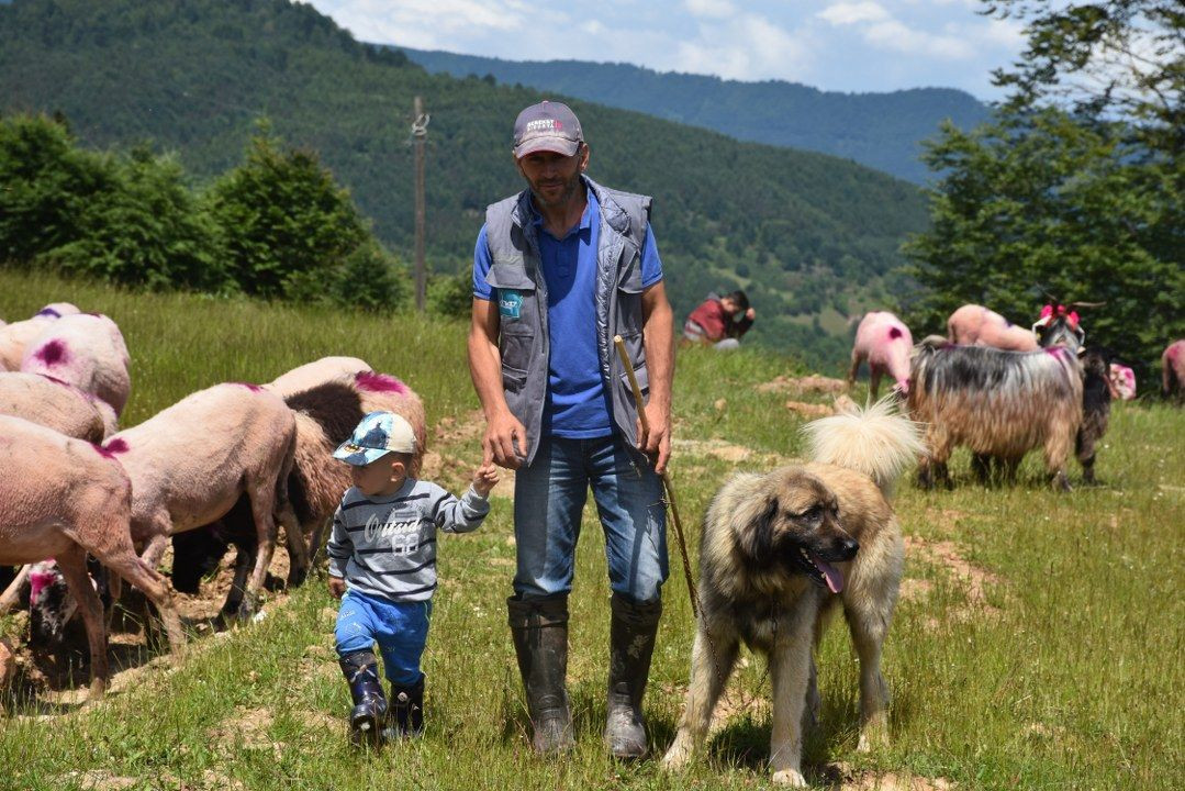 Dikmen Yaylası’nda şenlik havasında yayla yolculuğu - Sayfa 18