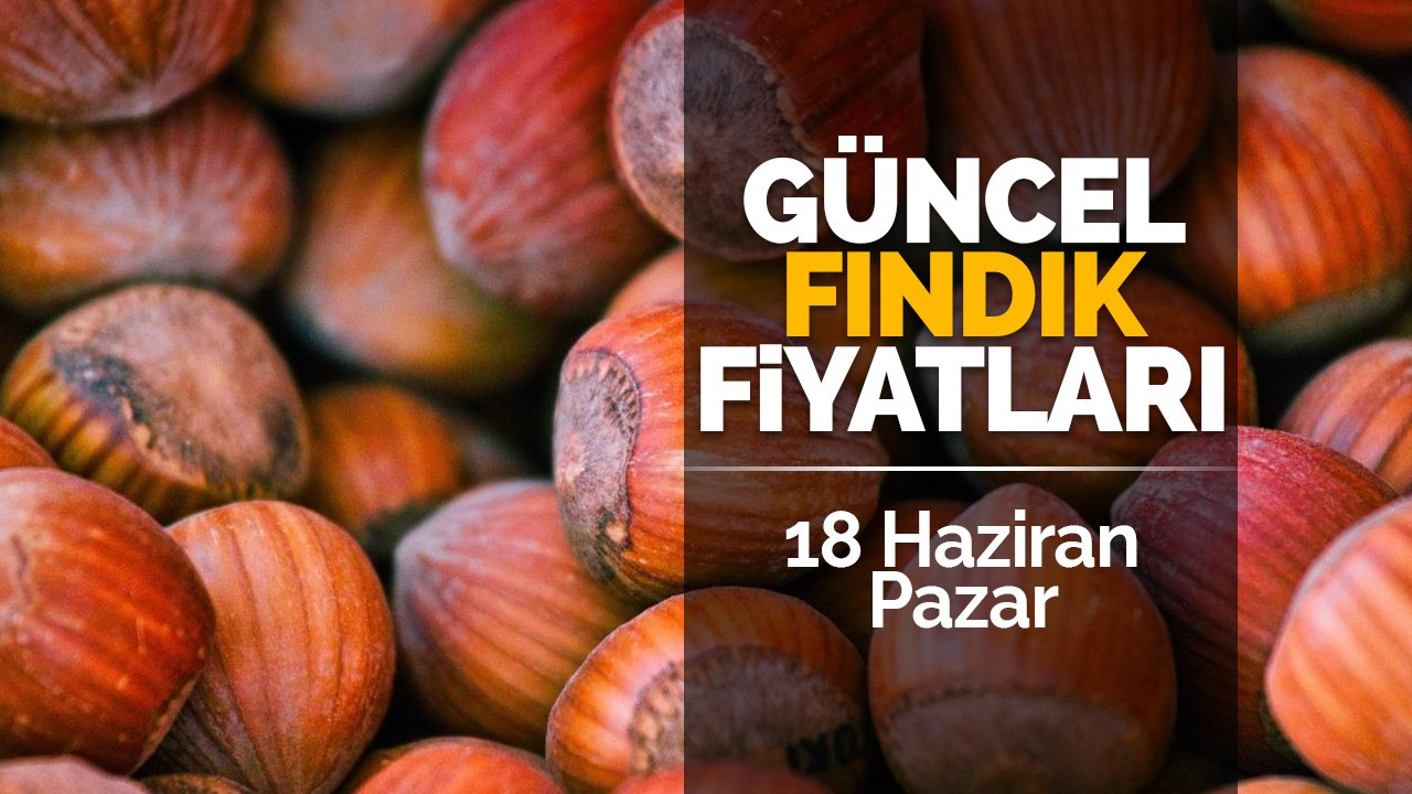 18 Haziran Pazar Güncel Fındık Fiyatları!