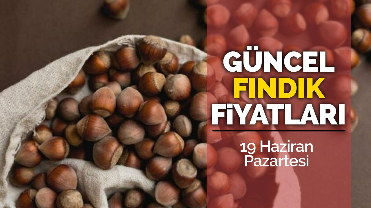 19 Haziran Pazartesi Güncel Fındık Fiyatları!