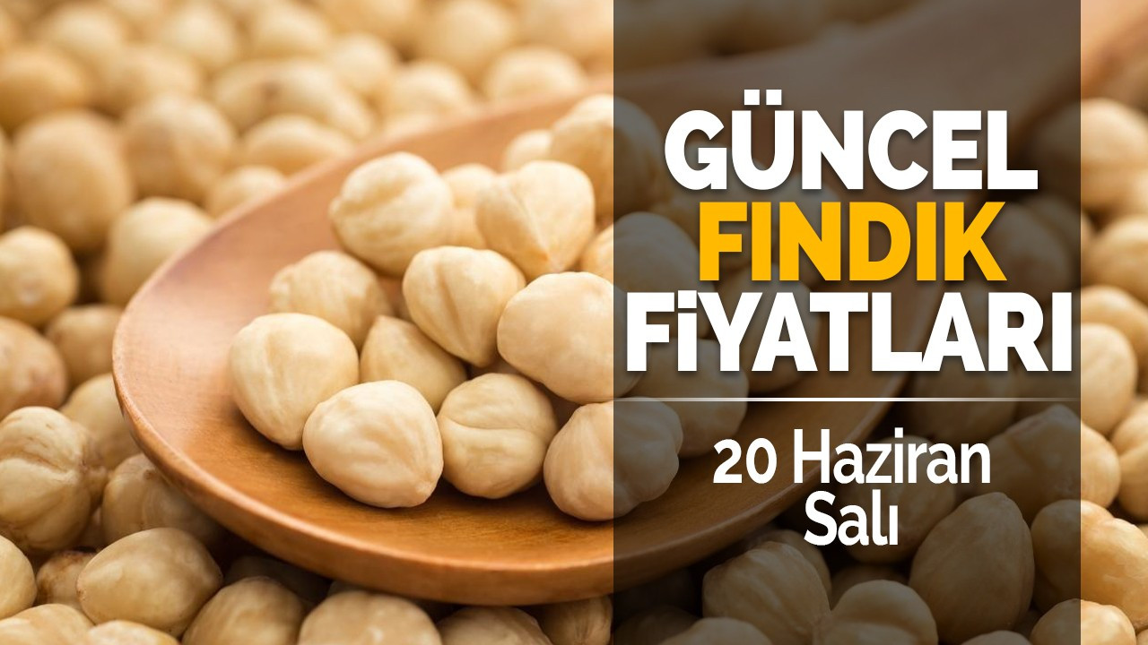 20 Haziran Salı Güncel Fındık Fiyatları!