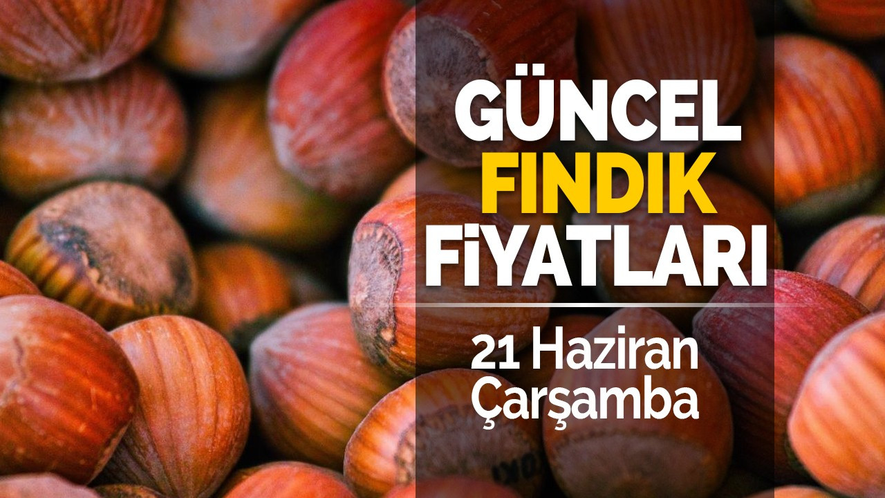 21 Haziran Çarşamba Güncel Fındık Fiyatları!