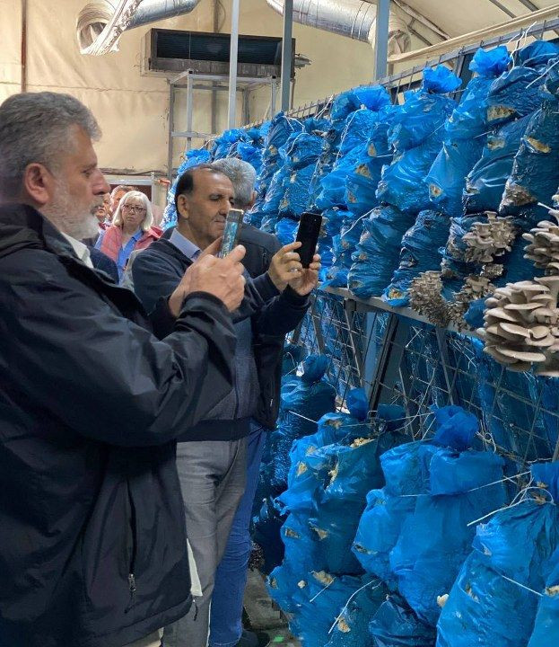 STK temsilcileri Büyükşehir’in projelerini yerinde gördü - Sayfa 7