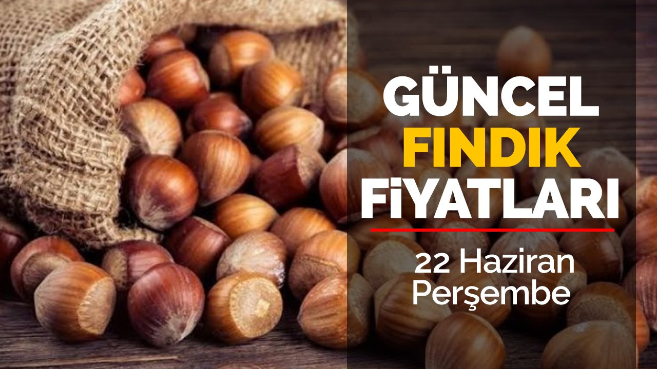 22 Haziran Perşembe Güncel Fındık Fiyatları!