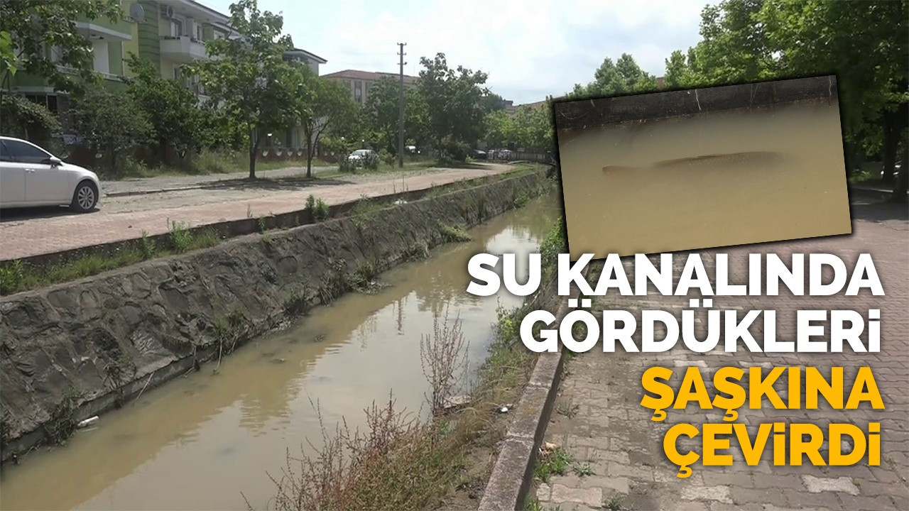 Su kanalında gördükleri şaşkına çevirdi