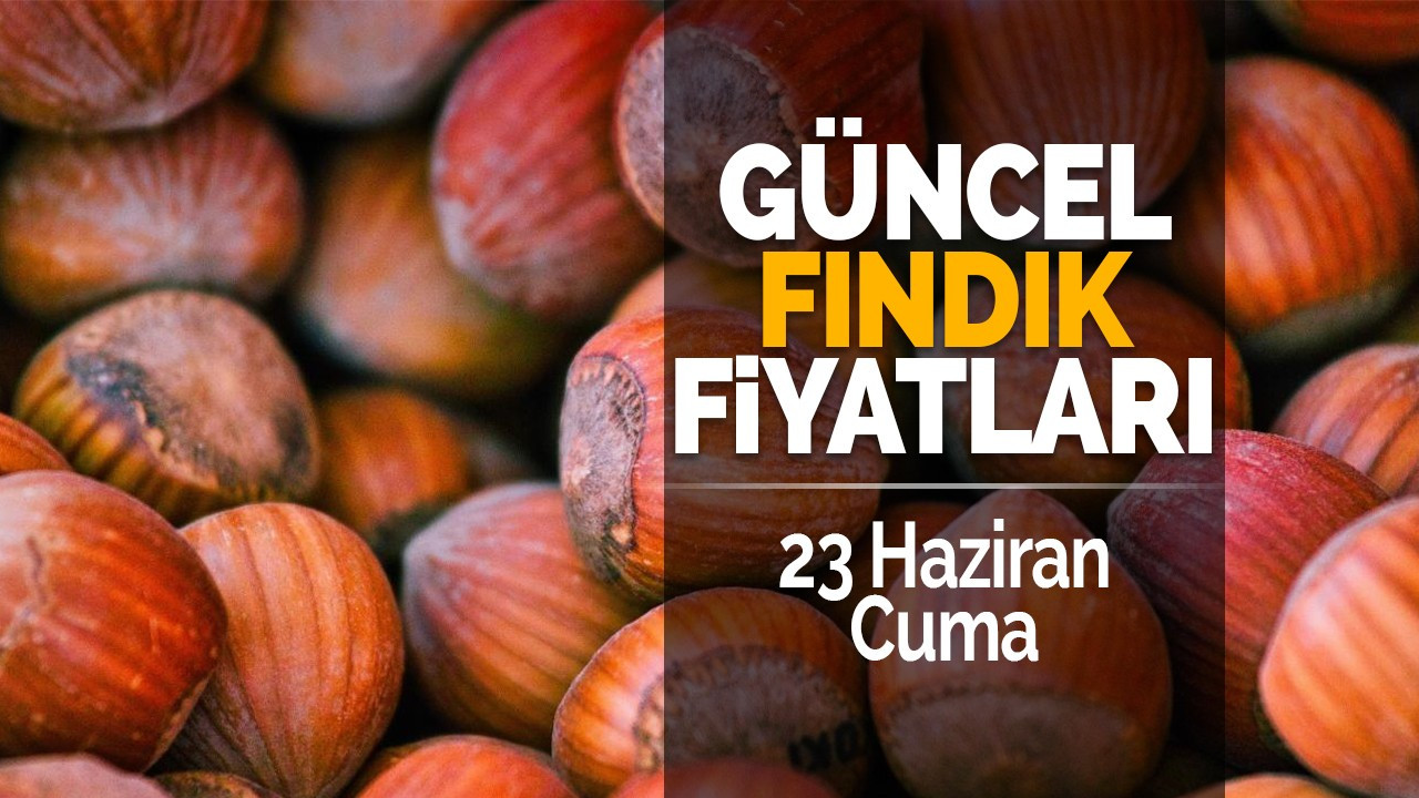 23 Haziran Cuma Güncel Fındık Fiyatları!