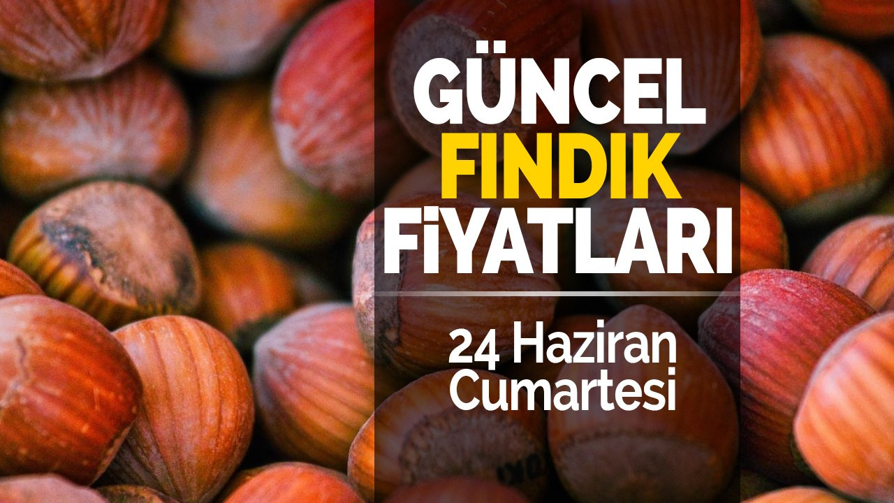 24 Haziran Cumartesi Güncel Fındık Fiyatları!