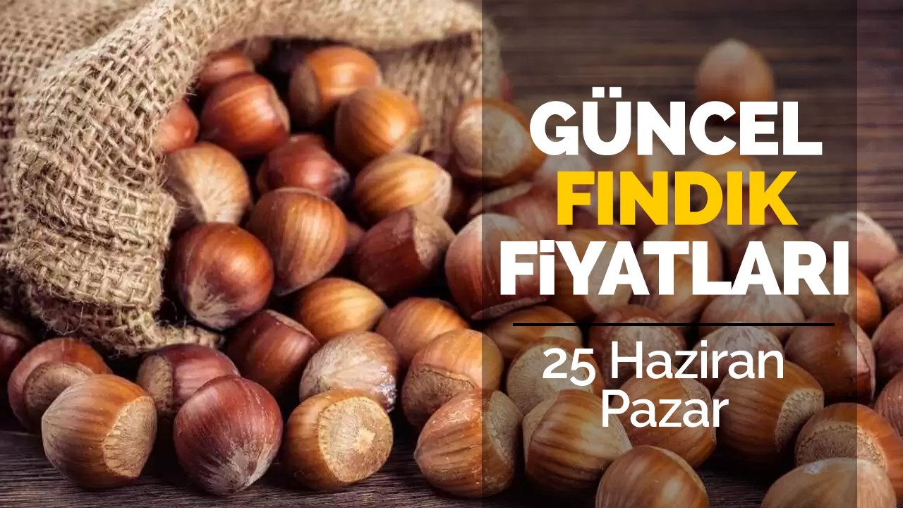 25 Haziran Pazar Güncel Fındık Fiyatları!