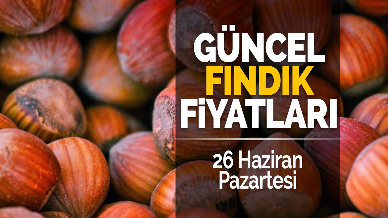 26 Haziran Pazartesi Güncel Fındık Fiyatları!