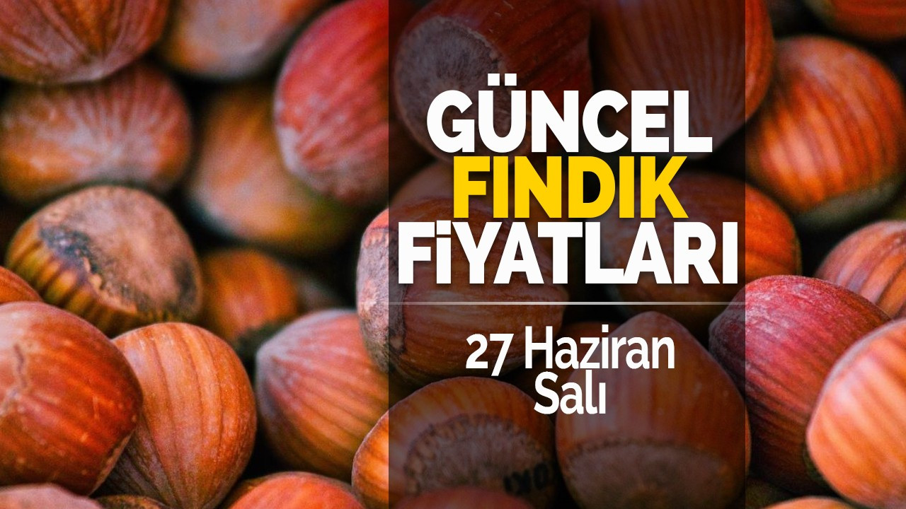 27 Haziran Salı Güncel Fındık Fiyatları!