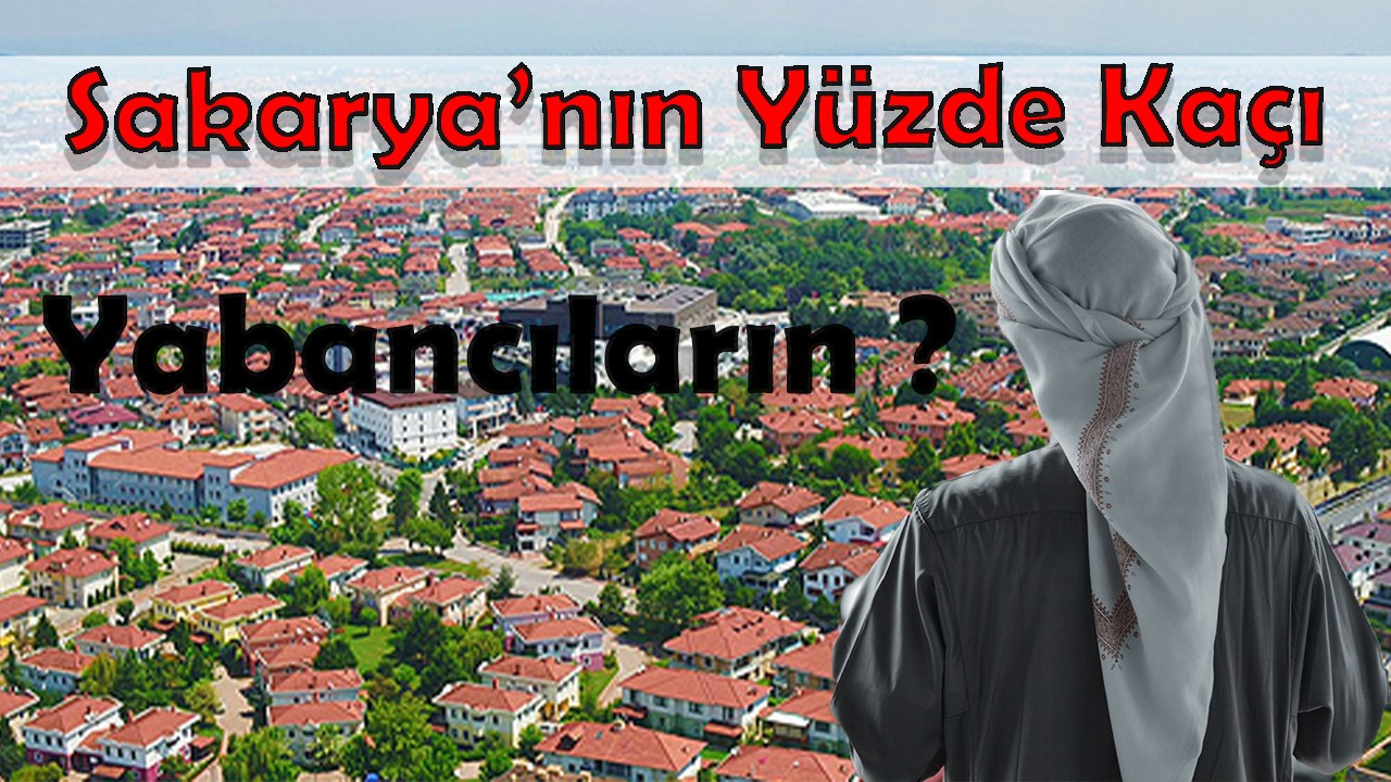 Sakarya'nın Yüzde Kaçı Yabancıların?