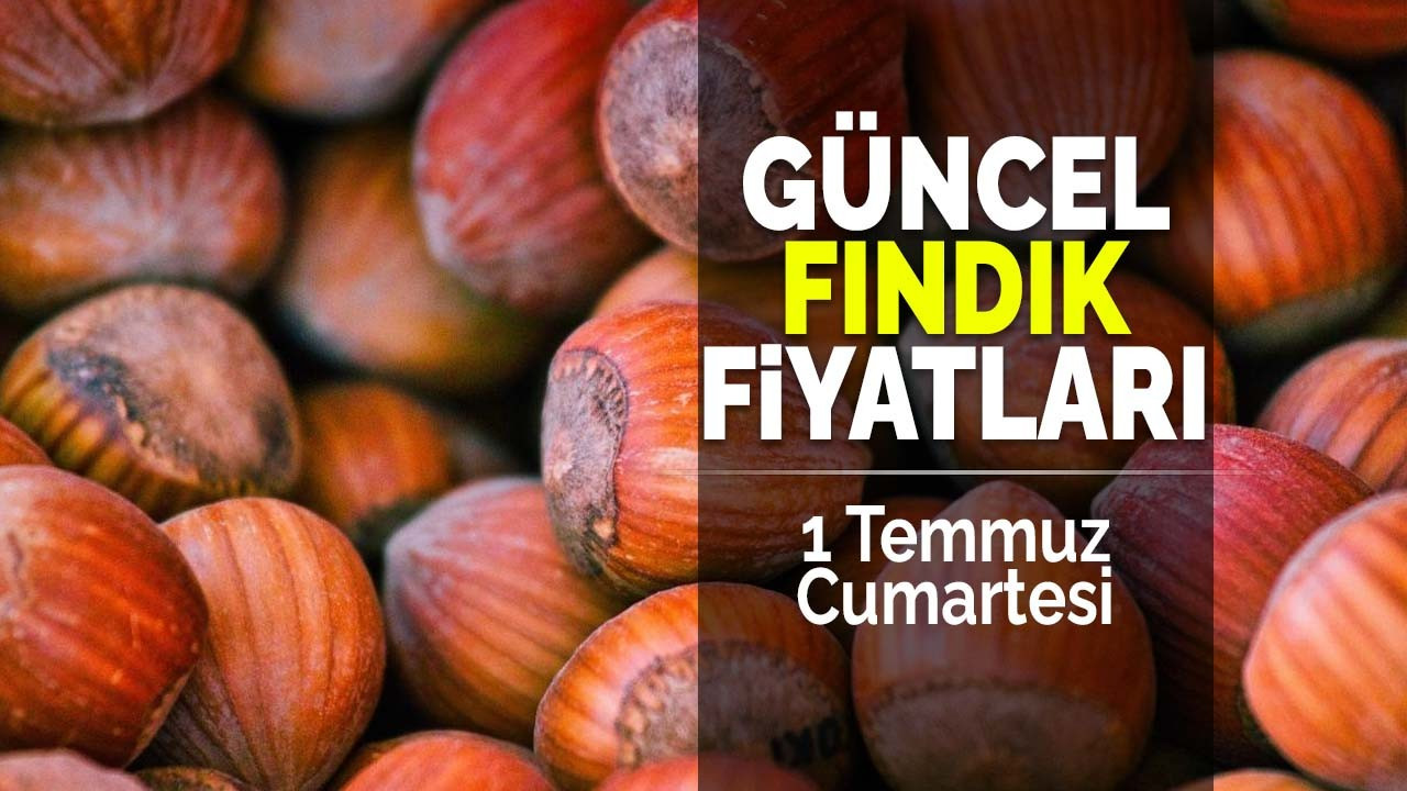 1 Temmuz Cumartesi Güncel Fındık Fiyatları!