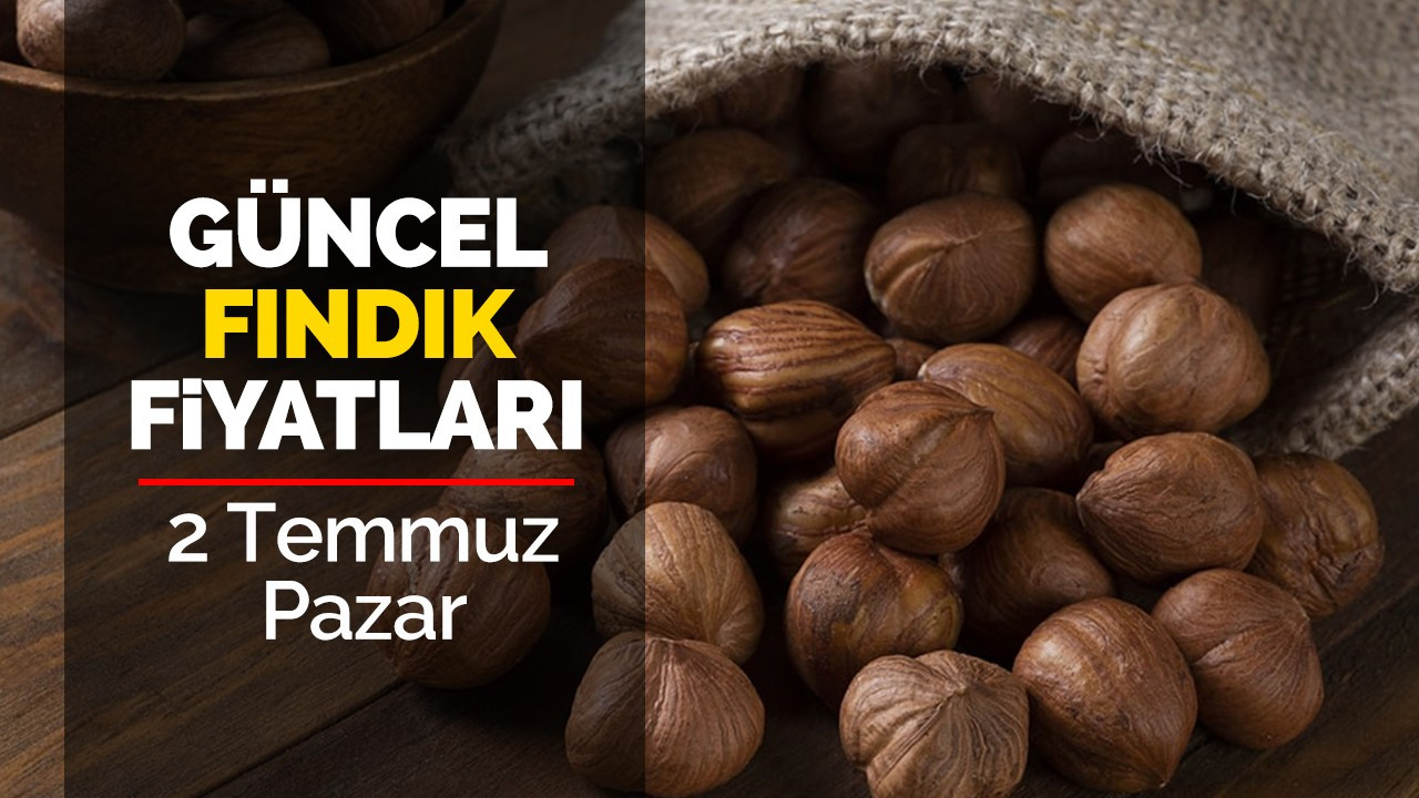 2 Temmuz Pazar Güncel Fındık Fiyatları!