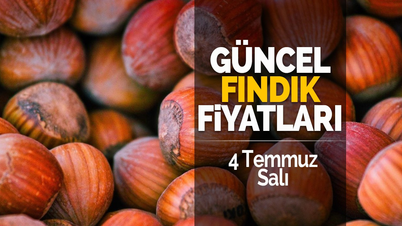 4 Temmuz Salı Güncel Fındık Fiyatları!