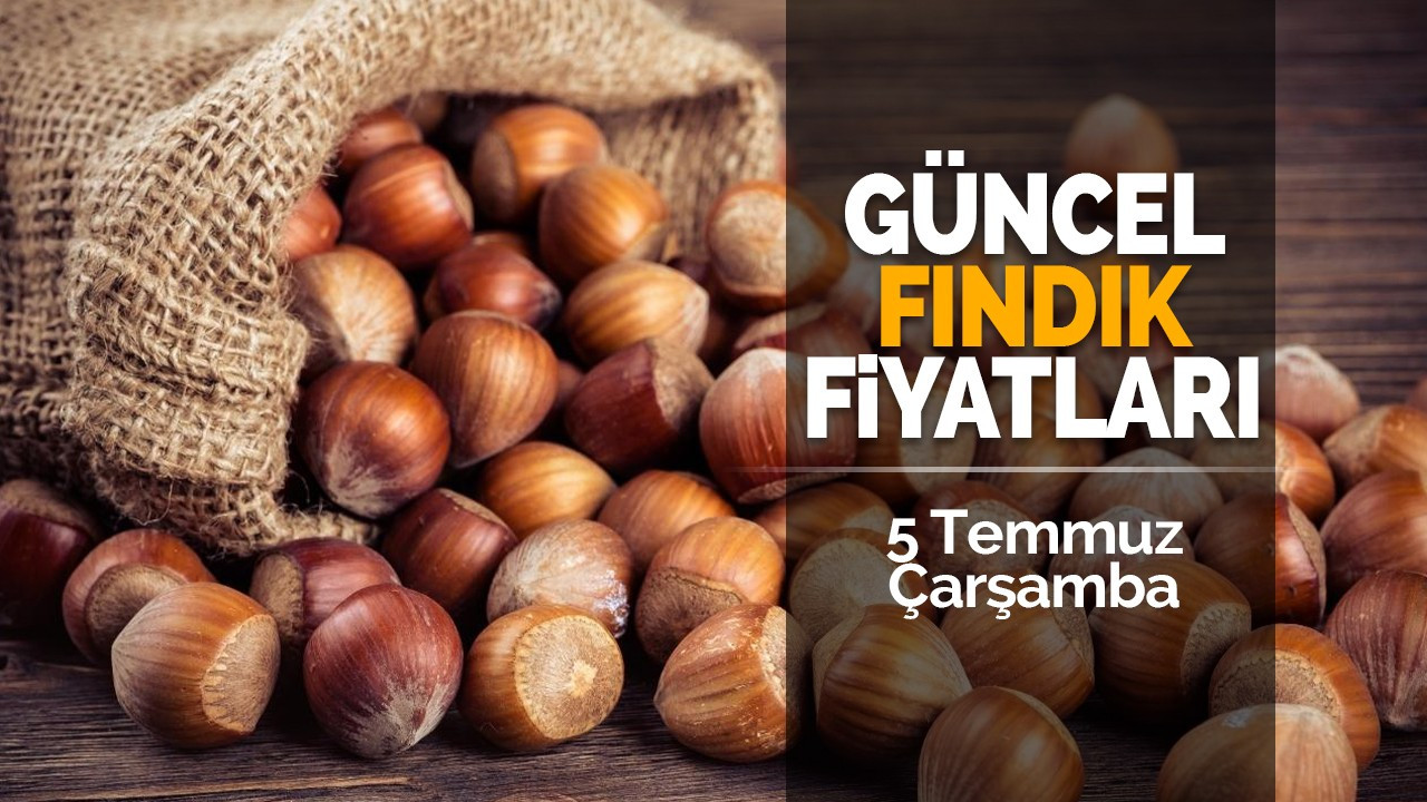 5 Temmuz Çarşamba Güncel Fındık Fiyatları