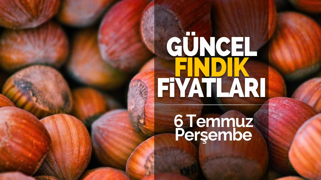 6 Temmuz Perşembe Güncel Fındık Fiyatları