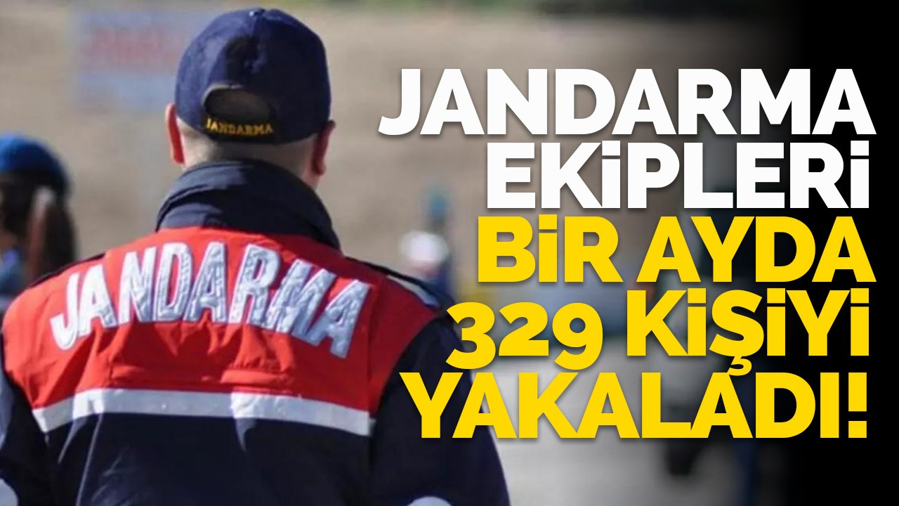 Jandarma ekipleri bir ayda 329 kişiyi yakaladı!