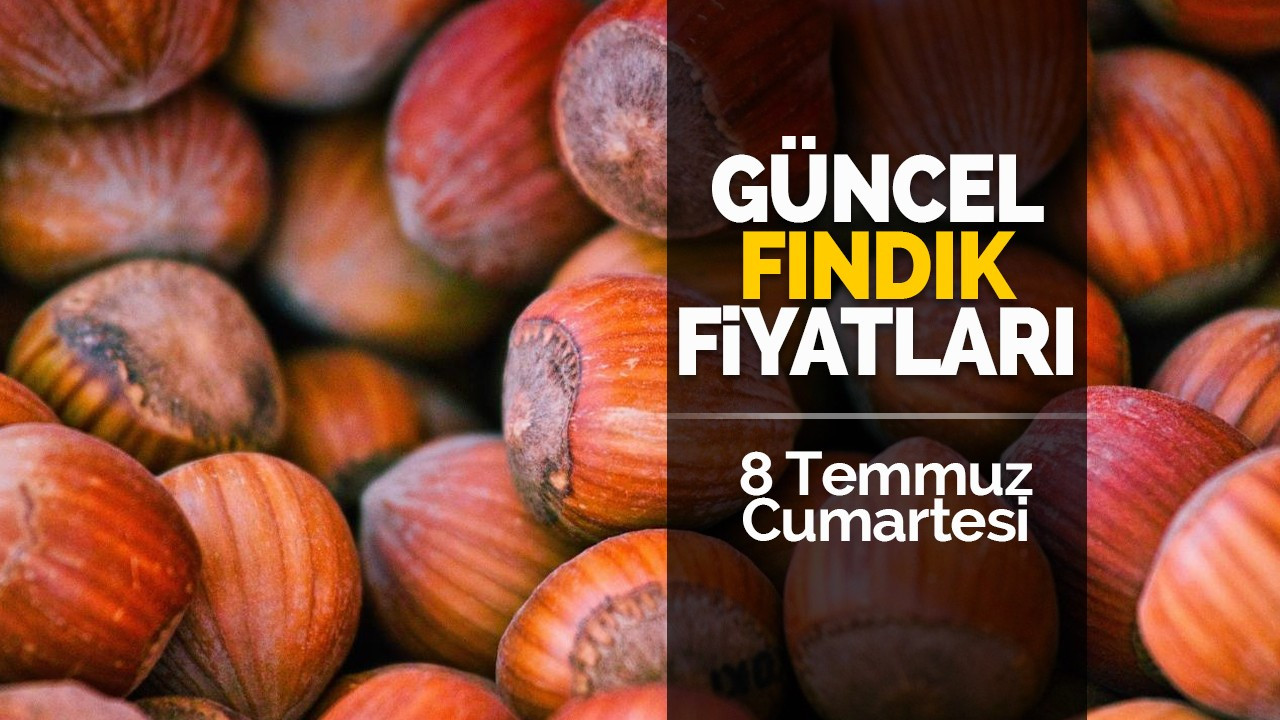 8 Temmuz Cumartesi Güncel Fındık Fiyatları