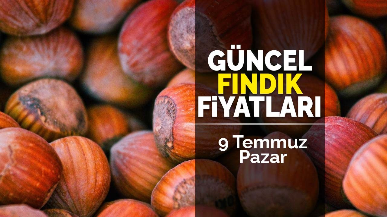 9 Temmuz Pazar Güncel Fındık Fiyatları