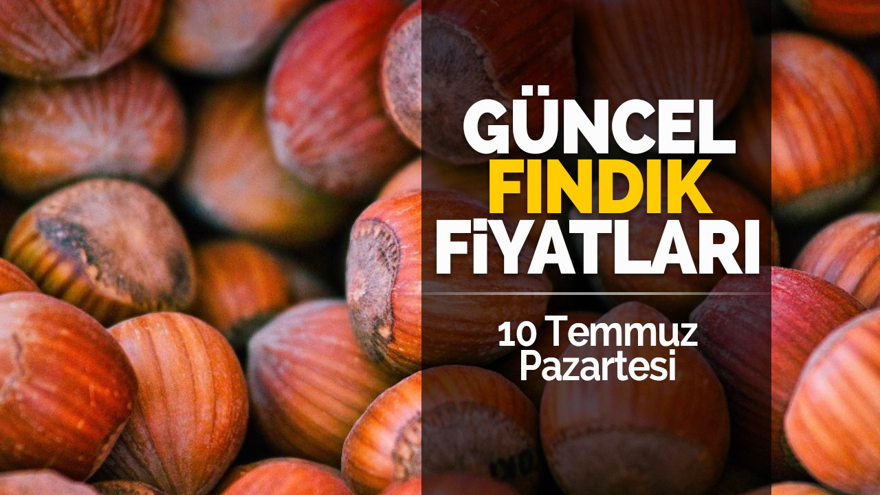 10 Temmuz Pazartesi Güncel Fındık Fiyatları