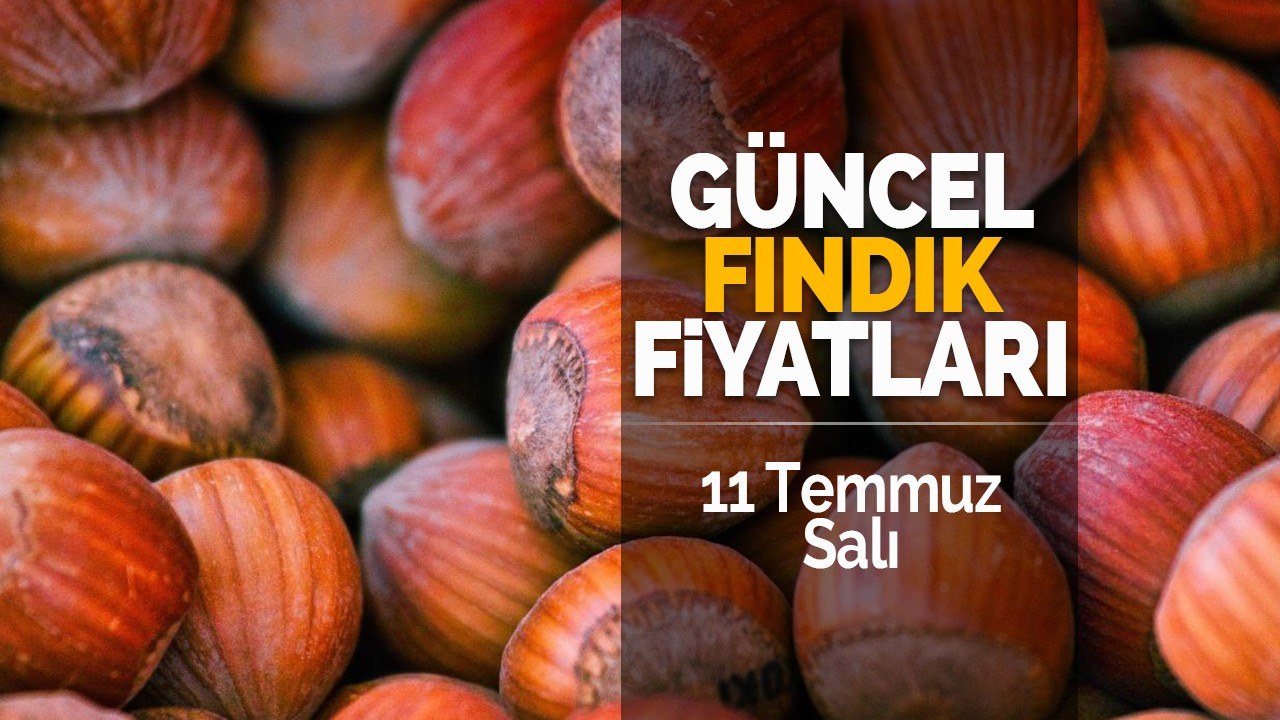 11 Temmuz Salı Güncel Fındık Fiyatları