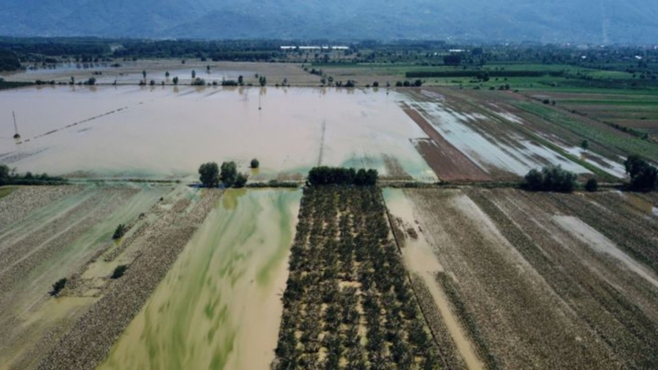 Düzce'deki sel felaketi fındık bahçelerine de zarar verdi