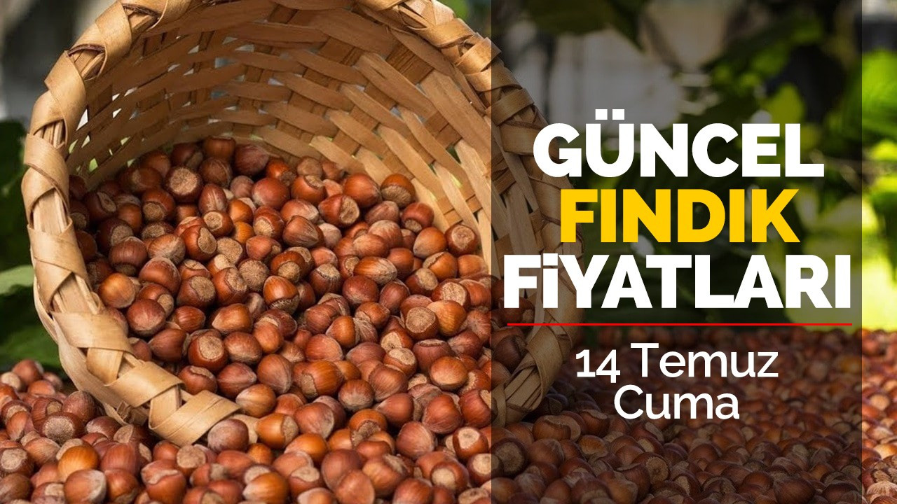 14 Temmuz Cuma Güncel Fındık Fiyatları