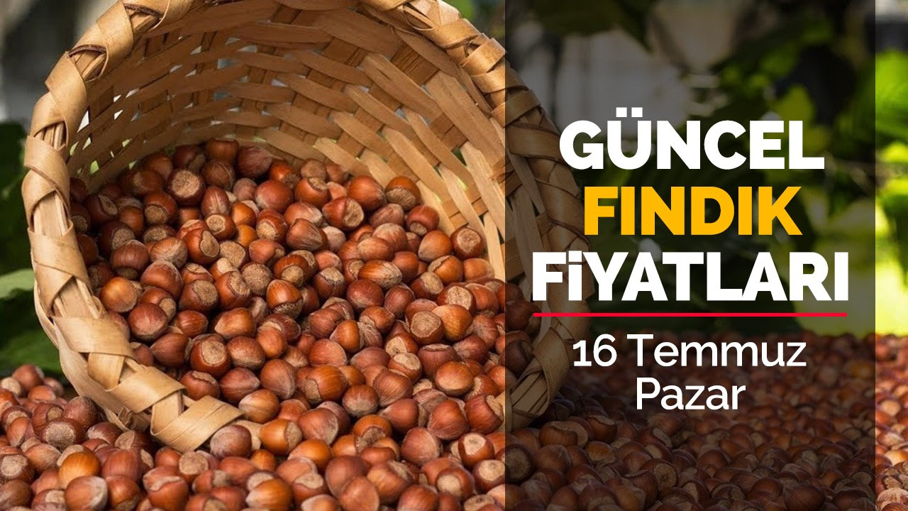 16 Temmuz Pazar Güncel Fındık Fiyatları