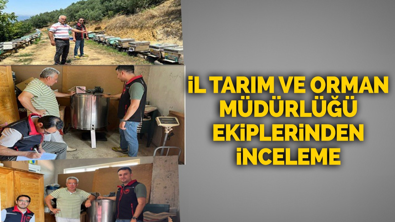 İl Tarım ve Orman Müdürlüğü ekiplerinden inceleme