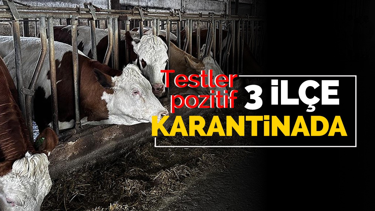 3 ilçe karantinada!