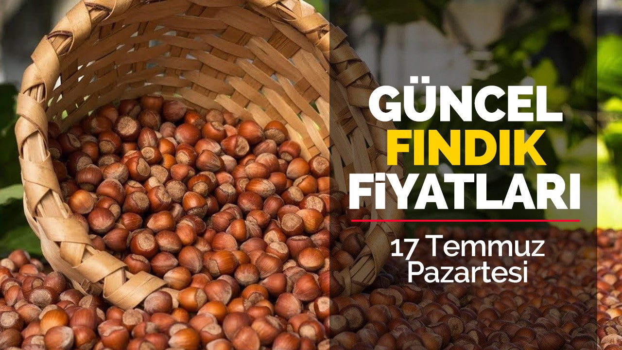 17 Temmuz Pazartesi Güncel Fındık Fiyatları