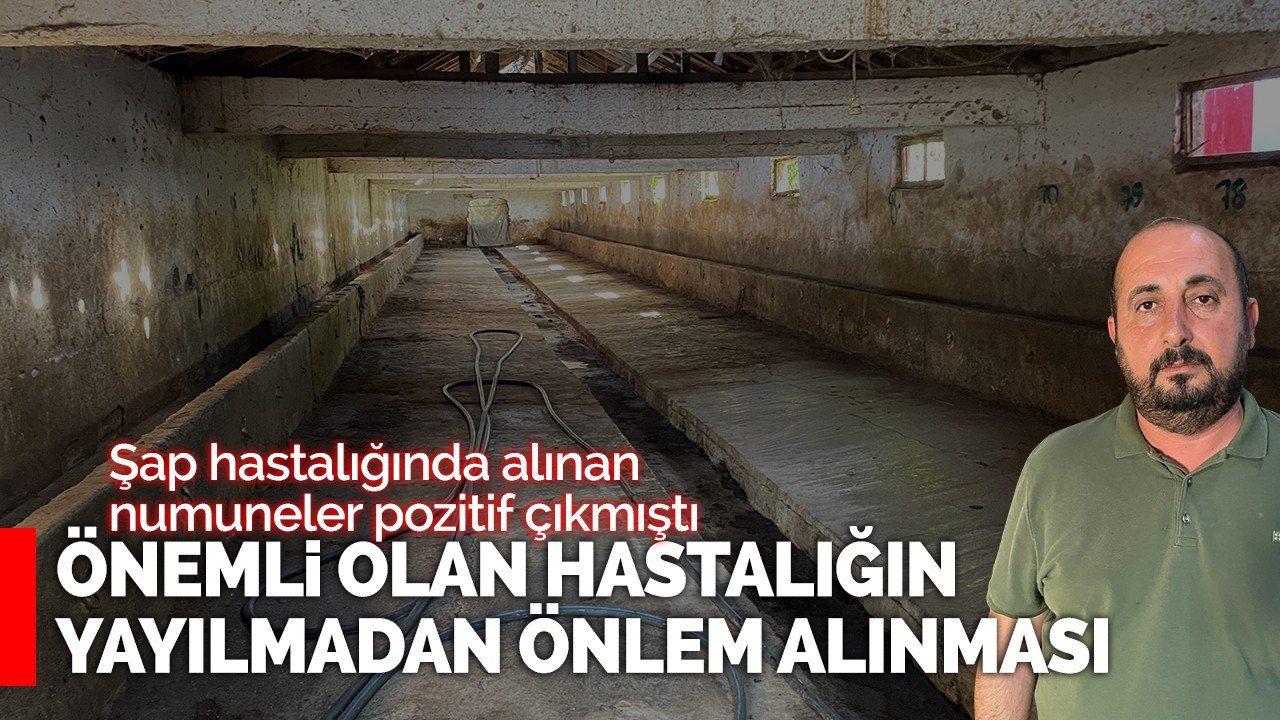 Şap hastalığında alınan numuneler pozitif çıkmıştı