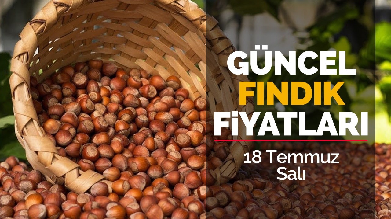 18 Temmuz Salı Güncel fındık fiyatları