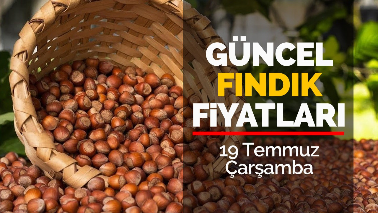 19 Temmuz Çarşamba güncel fındık fiyatları